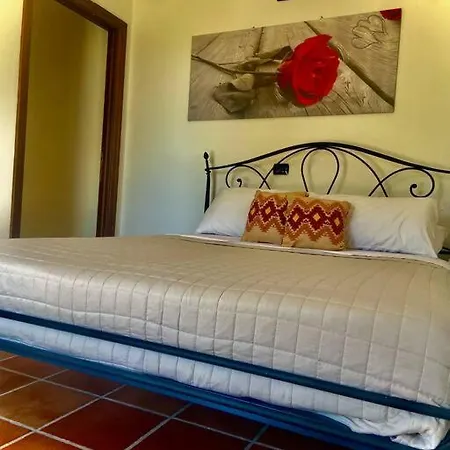 Sarda Aurora Apartment